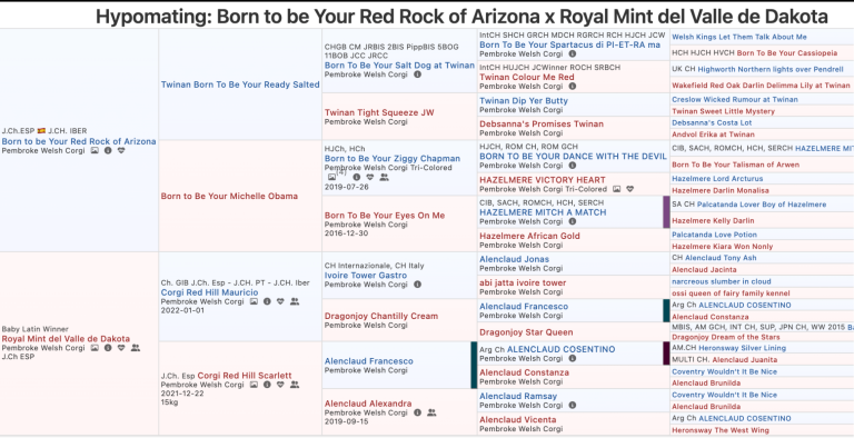 Pedigree Camada 2024