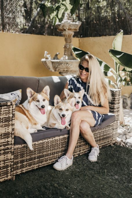 Corgis de Dakota